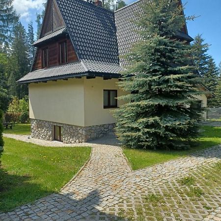 Apartamenty Przy Potoku 자코파네 외부 사진